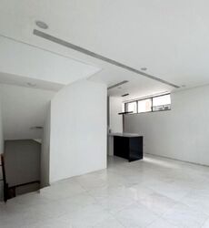 Shamrock Park (D10), Terrace #496532021